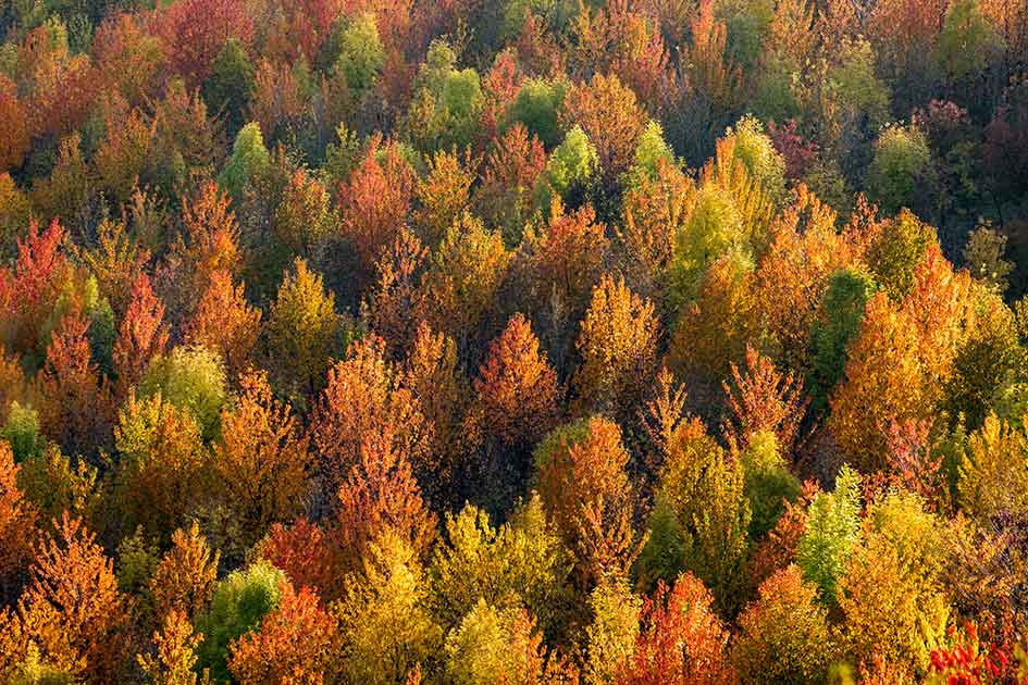 parco-nazionale-casentino_28